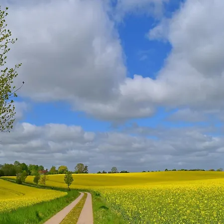 Fuer 3 In Schulenbrook Metelsdorf