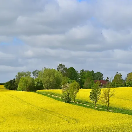 Daire Fuer 3 In Schulenbrook